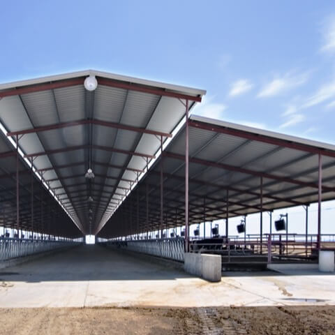 McClintock Dairy steel agriculture building | Bunger Steel